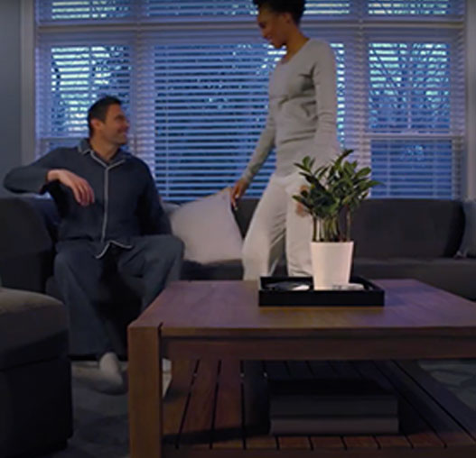 Lutron Wood Blinds with Natural Light Optimization